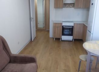 Сдаю квартиру студию, 27 м2, Мурино, ЖК Авиатор, проспект Авиаторов Балтики, 25