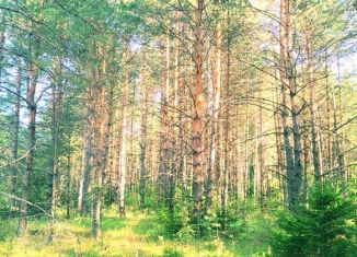 Продаю земельный участок, 24 сот., деревня Дмитровка