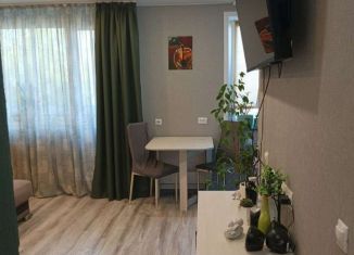 Продажа 2-комнатной квартиры, 43 м2, Екатеринбург, Агрономическая улица, Агрономическая улица