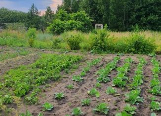 Продаю земельный участок, 12 сот., посёлок Мизиричи, Земляничная улица