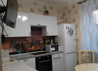 Аренда 2-комнатной квартиры, 58 м2, Кудрово, Областная улица, 1, ЖК Новый Оккервиль