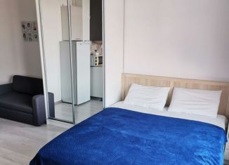 Продажа квартиры студии, 22 м2, Сочи, садоводческое некоммерческое товарищество Агро, 45/2