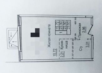 Квартира на продажу студия, 24 м2, деревня Глухово, Романовская улица, 11