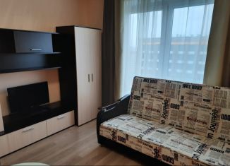 Сдается квартира студия, 23 м2, Люберцы, улица Лётчика Ларюшина, 14, ЖК Жулебино Парк