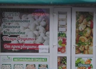 Продажа торговой площади, 25 м2, Симферополь, Киевская улица, 148, Железнодорожный район