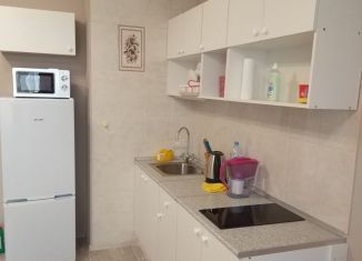 Сдаю в аренду квартиру студию, 30 м2, Люберцы, Инициативная улица, 7В, ЖК Облака