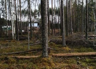 Продам земельный участок, 1002 сот., посёлок городского типа Краснозатонский, Рассветная улица