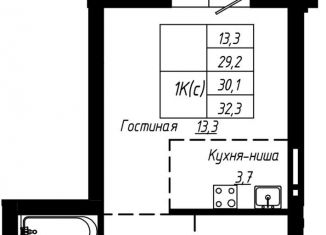 Однокомнатная квартира на продажу, 30.1 м2, Барнаул, улица Чернышевского, 189, Центральный район