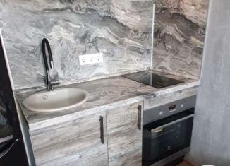 Продается квартира студия, 19 м2, рабочий посёлок Лопатино, Солнечный бульвар, 12, ЖК Государев Дом