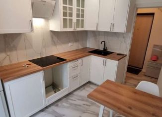 Сдам 1-ком. квартиру, 30 м2, посёлок Парголово, Толубеевский проезд, 36к1, ЖК Северная Долина