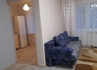 Сдается в аренду однокомнатная квартира, 33 м2, Барнаул, улица Антона Петрова, 205, Ленинский район