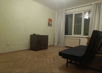 Продается 1-комнатная квартира, 30 м2, Санкт-Петербург, проспект Науки, 13к3, метро Академическая