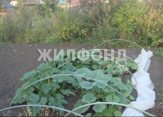Продается участок, 3 сот., Новосибирск, территория садоводческого товарищества Ранняя заря, 92