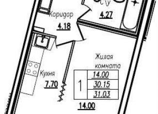 Продается 1-комнатная квартира, 31 м2, Санкт-Петербург, метро Парнас, улица Кустодиева, 5к1