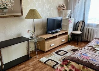 Аренда 1-комнатной квартиры, 32 м2, Нижегородская область, улица Гагарина, 1