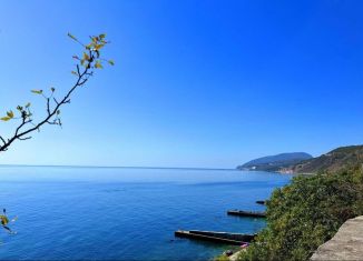 Земельный участок на продажу, 25 сот., село Лазурное, улица Головкинского, 20Б