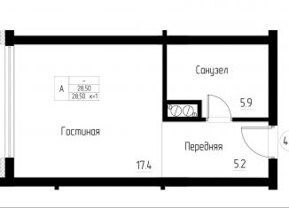 Продажа 1-комнатной квартиры, 28.5 м2, Светлогорск