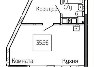 Продается квартира студия, 36 м2, Новосибирск, метро Площадь Ленина