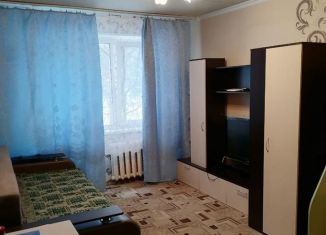 Продам 1-комнатную квартиру, 33 м2, Нижний Новгород, метро Парк Культуры