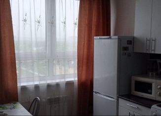 Сдам квартиру студию, 25 м2, Нижегородская область, Молодёжный проспект, 74А