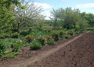 Продажа участка, 20 сот., деревня Чаплыгина, 38Н-381