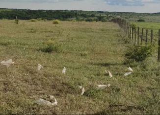 Продаю участок, 8 сот., село Маловидное