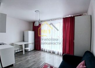 Сдаю в аренду однокомнатную квартиру, 24 м2, Челябинская область, улица Блюхера, 123И
