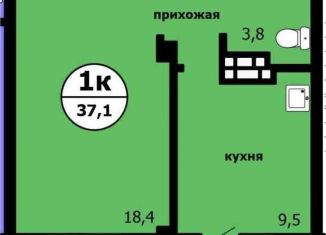 Продажа однокомнатной квартиры, 37.1 м2, Красноярский край, Вишнёвая улица