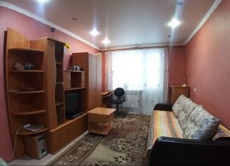 Однокомнатная квартира на продажу, 28.4 м2, Московская область, деревня Жучки, 24