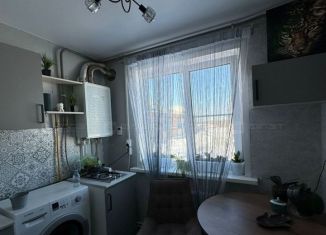 1-комнатная квартира на продажу, 30.1 м2, село Осиново, улица Шуравина, 2