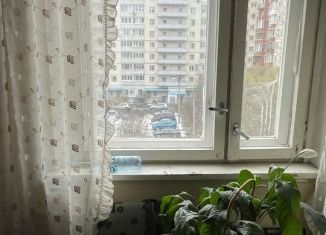 Аренда двухкомнатной квартиры, 58 м2, Санкт-Петербург, Комендантский проспект, 21к2, метро Пионерская