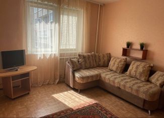 Аренда однокомнатной квартиры, 47 м2, Санкт-Петербург, Планерная улица, 73к6