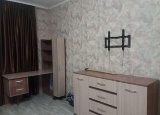 Сдача в аренду двухкомнатной квартиры, 70 м2, Новосибирск, улица Чехова, 111