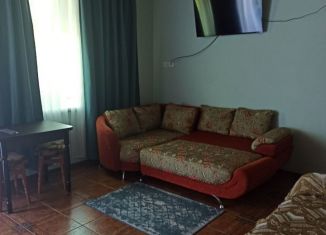 Сдача в аренду дома, 40 м2, село Марьино, Зелёная улица, 12А/2