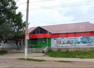 Помещение свободного назначения в аренду, 536 м2, село Амзя, улица Кудрявцева, 11А