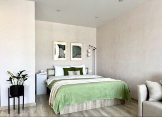 Сдается в аренду однокомнатная квартира, 34 м2, Карелия, набережная Гюллинга, 1