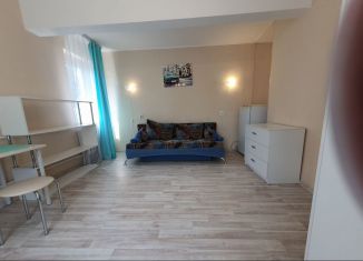 Продажа 1-комнатной квартиры, 24.2 м2, Краснодар, Ставропольская улица, 232Б