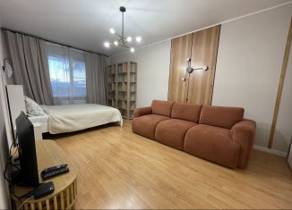 Сдаю однокомнатную квартиру, 34.1 м2, деревня Мокшино, Солнечная улица, 87