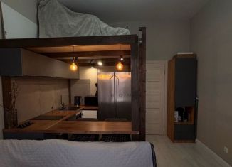 Продается квартира студия, 20.4 м2, Санкт-Петербург, Московский район, Орбитальная улица, 9к1