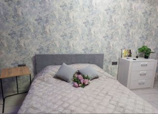 Сдается в аренду 1-комнатная квартира, 42 м2, Кингисепп, улица Ковалевского, 5