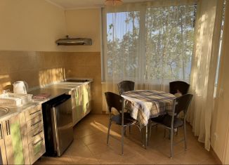 Сдаю 1-комнатную квартиру, 50 м2, посёлок городского типа Кореиз, улица Горемыкиных, 27