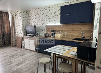 Продаю квартиру студию, 26.3 м2, деревня Хохряки, Тепличная улица, 30