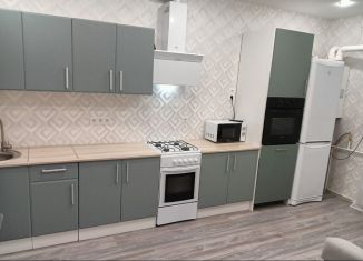 Аренда двухкомнатной квартиры, 57 м2, Ростов-на-Дону, Левобережная улица