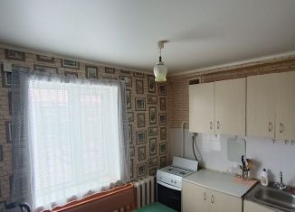 Сдается 1-ком. квартира, 30 м2, Курганская область, Красная улица, 36