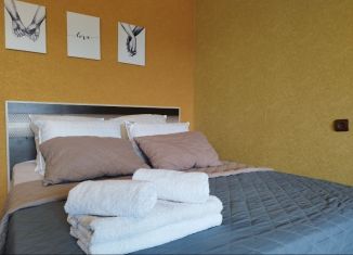 Сдается в аренду однокомнатная квартира, 30 м2, Коми, проезд Строителей, 13