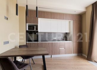 Продается 1-ком. квартира, 46.9 м2, Санкт-Петербург, Новая улица, 51к1, метро Беговая
