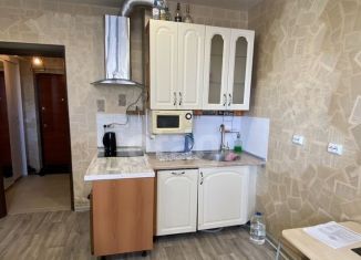 Аренда квартиры студии, 18 м2, Тюмень, Газопромысловая улица, 8, ЖК Новый Мыс 2.0