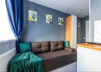 Сдача в аренду квартиры студии, 20 м2, Санкт-Петербург, 5-я Советская улица, 21-23-25, Центральный район