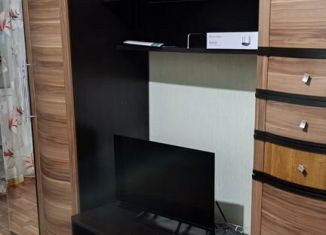 Сдам однокомнатную квартиру, 38 м2, Курск, проспект Вячеслава Клыкова, 80