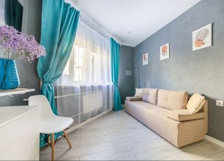Сдается квартира студия, 20 м2, Санкт-Петербург, 5-я Советская улица, 21-23-25, Центральный район